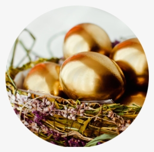 Nest Of Golden Eggs - Egg #1899337