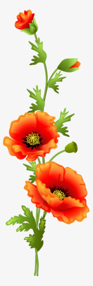 Фотки Watercolor Flowers, Watercolor Art, Decoupage, - Poppy Vine Clip Art #1899710