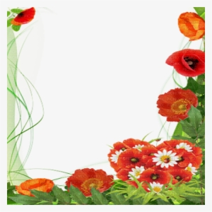 Poppy Flower Frame - Transparent Poppies Frame Png #1899739
