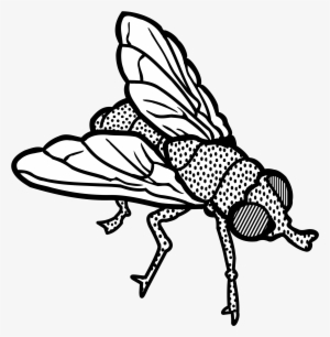 This Free Icons Png Design Of Fly #190015