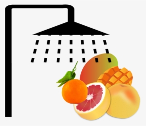 Banner Black And White Oranges Clipart Shooting Star - Custom Grapefruit Shower Curtain #190090