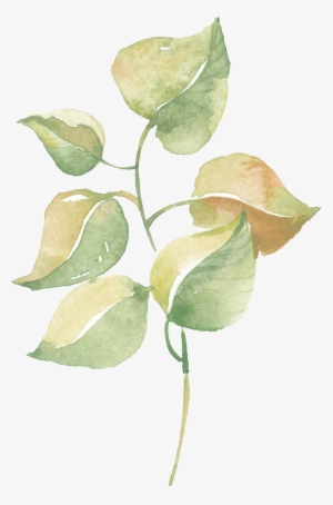 Watercolor Greenery Png Vector Download - Lavender Flower Watercolor Poster Print Wall Art Home #190206