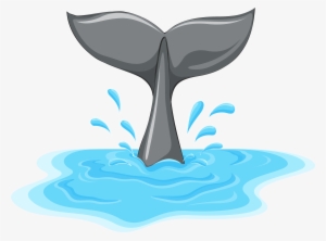 Whale Tail Png Clipart - Cola De Ballena Dibujo #190286