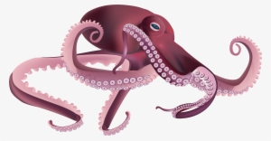 Octopus Png #190447