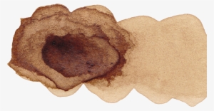 Free Download - Sandwich Cookies #190779