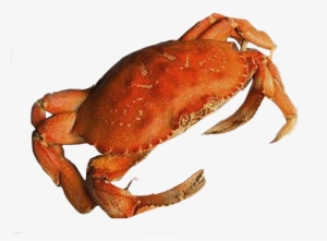 Crab Png - Crab Png Transparent Background #190805
