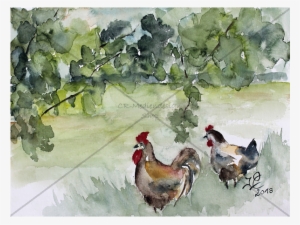 Postcard Ossenberg - Rooster #190953