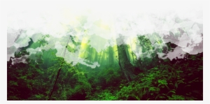 Companions Granted By Various Spells Do Not Come Along - Old-growth Forest #191168