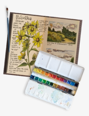 You Can Find This Article On Our New Site Here - Nature #191235