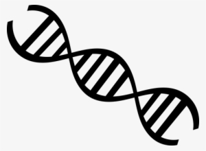 Dna Clipart - We Are More Than Our Brains #191463
