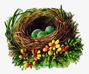 Egg Clipart Bird's Nest - Vintage Birds Nest Png #191578