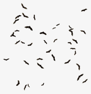 Bat Png Pic - Lil Uzi Vert Countin Ft 2 Chainz #191649 Bat Png Pic - Lil Uzi Vert Countin Ft 2 Chainz #191649