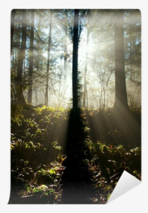 Go To Image - Skrz.cz Ltd. #192008