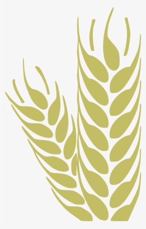 This Free Icons Png Design Of Wheat #192721