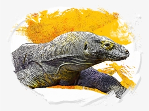 Komodo-watercolor - Komodo Energy Drink #192780