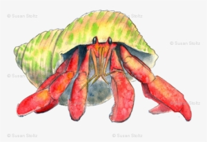Hermit Crab Png - Hermit Crab #193280