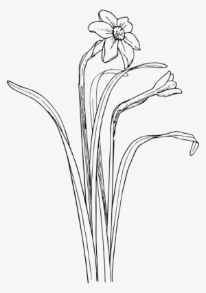 Flower Plant Stem Bush Svg Clip Arts 420 X 596 Px #193613