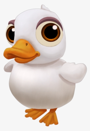 Baby American Pekin Duck #194002