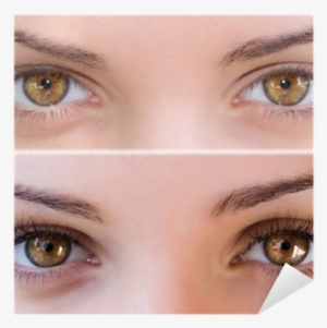 False Eyelashes Png For Kids - Long 4 Lashes Serum #194682