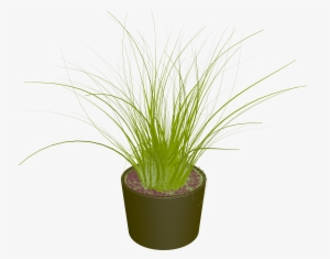 Cartoon Potted Plants, Gardening, Plant, Leaf Png Image - Sweet Grass #194708
