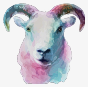 Beautiful Watercolor Goat Ceramic Coffee Mug #195142