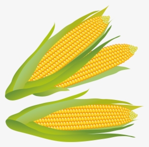 Corn Clipart #195301