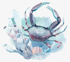 Hand Painted A Seabed Crab Png Transparent - Rote Krabben-verlobungs-party Einladung #196145