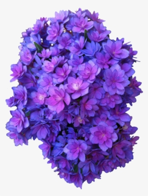 Purple Flowers Transparent - Dark Purple Flowers Transparent #196233
