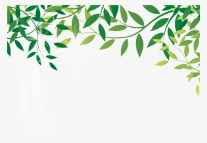 Amazon Com Earth Leaf Online Shopping Amazoncom - Amazon Rainforest Transparent #196361