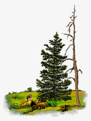 Click And Drag To Re-position The Image, If Desired - Watercolor Painting #196449