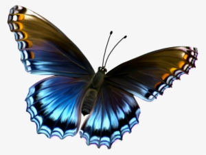 The Latest Collection Of Pictures - Butterfly Transparent #196841