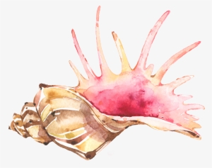 Whichever Package You Choose, You Will Receive Some - Watercolor Painting #197161