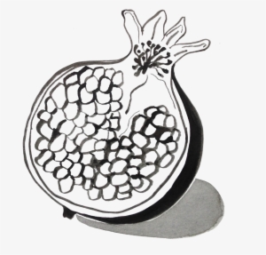 Pomegranate Drawing At Getdrawings - Pomegranate Drawing Transparent #197286