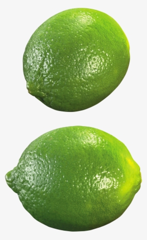 Lime Png #197336