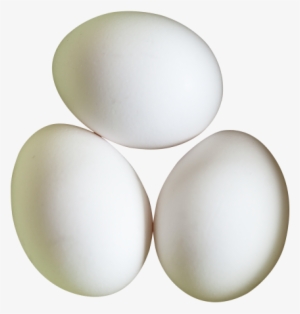 Eggs Png Transparent Image - Eggs Png #198033