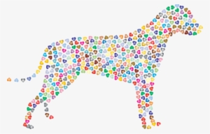 Bernard Golden Retriever Dobermann Border Collie Dalmatian - Dog #199150