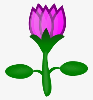 Water Lily, Lotus, Flower, Pink, Plant, Water - Cartoon Flowers No Background #199168