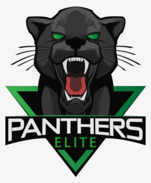Team's Logo Panthers Elite - Panthers Esports Fifa #199427