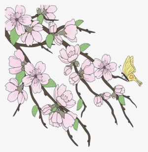 Cherry Blossom Drawing Branch - Beautiful Drawings Branch #199690