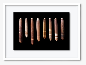 51 - Dav#pearce-shells1 #1903178