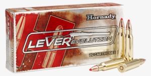 Hornady Leverevolution 307 Win - .307 Winchester #1903180