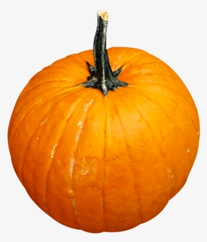 Free Png Pumpkin Png Images Transparent - Pumpkin Png #1903931