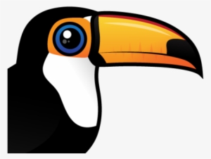 About The Toco Toucan - Toco Toucan Cute #1904209
