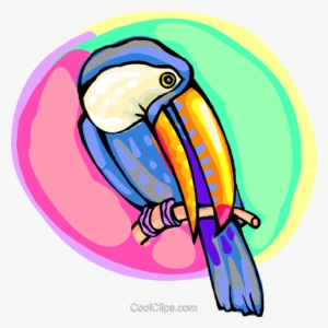 Toucan On A Branch Royalty Free Vector Clip Art Illustration #1904481