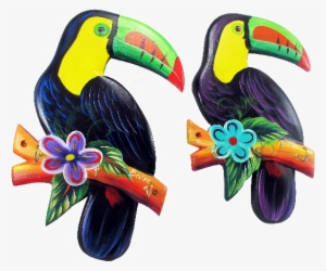 Toucan #1904520
