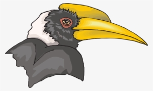 Hornbill Clipart #1904569