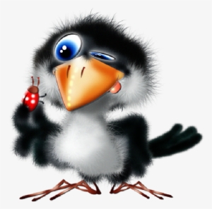 Toucan Clipart Animated - Transparent Background Clipart Cute Birds #1904630