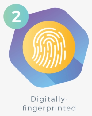 Circle #1905028 Circle #1905028