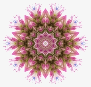 This Free Icons Png Design Of Wildflower Kaleidoscope #1905693