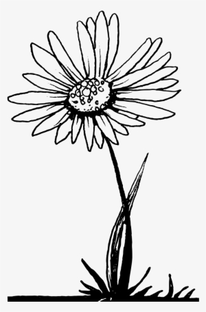 Design - Line Art #1905740